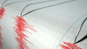 Three polygraph needles scribbled red lines on a piece of paper.